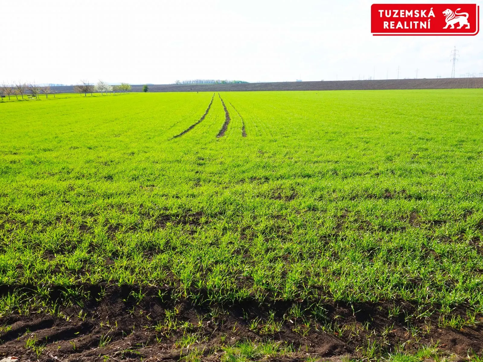 Rovinatý pozemek 4044 m2, 20m x 215m, pole či ovocný sad, přístupný ze 2 stran z obecních cest