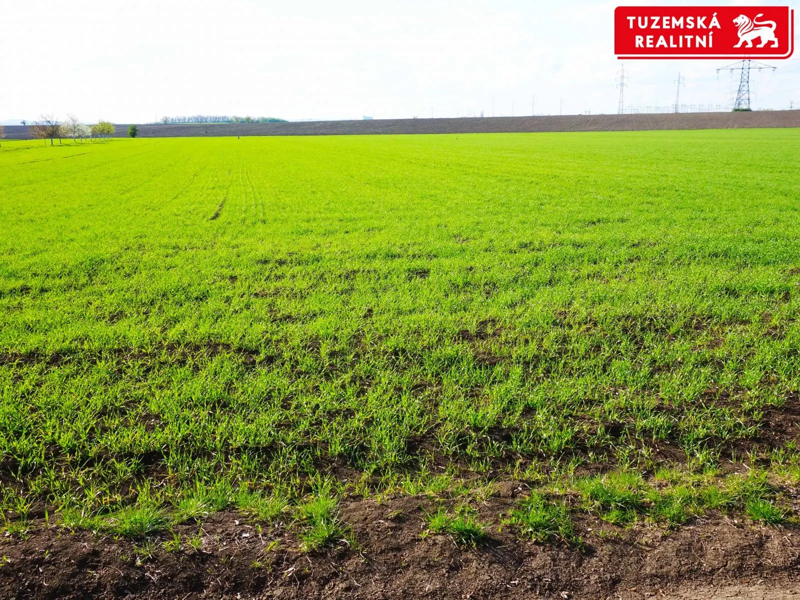 Rovinatý pozemek 4044 m2, 20m x 215m, pole či ovocný sad, přístupný ze 2 stran z obecních cest