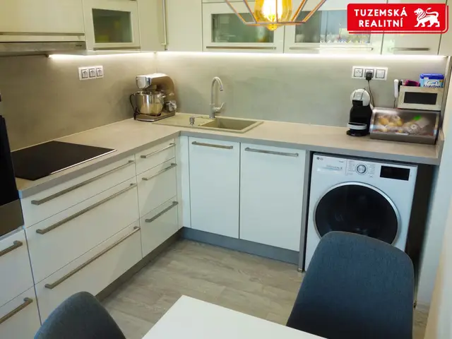 Kompletně zrekonstruovaný byt 2+1, s klimatizací, biokrbem, nízkým inkasem, výtahem. — fotografie 2