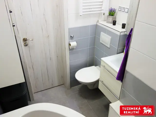 Kompletně zrekonstruovaný byt 2+1, s klimatizací, biokrbem, nízkým inkasem, výtahem. — fotografie 3