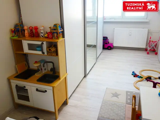 Kompletně zrekonstruovaný byt 2+1, s klimatizací, biokrbem, nízkým inkasem, výtahem. — fotografie 4