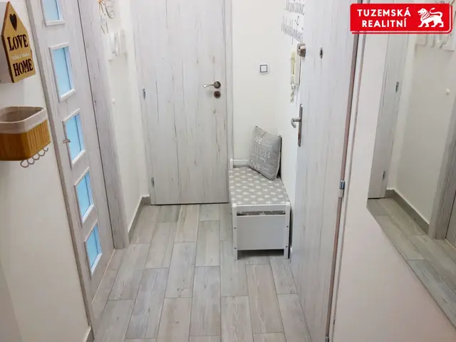 Kompletně zrekonstruovaný byt 2+1, s klimatizací, biokrbem, nízkým inkasem, výtahem. — fotografie 5