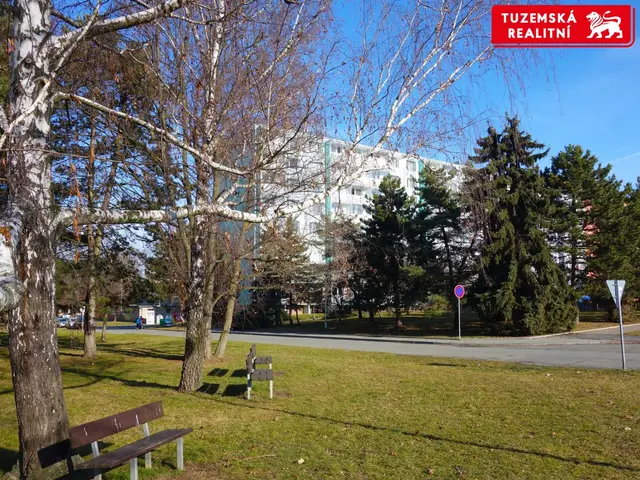 Zrekonstruovaný byt 3+1 s lodžií a výtahem na perfektním místě. — fotografie 3