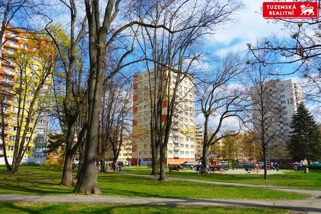 Bezbariérový zrekonstruovaný byt 2+1 s balkónem u Pražského Předměstí. — fotografie 2