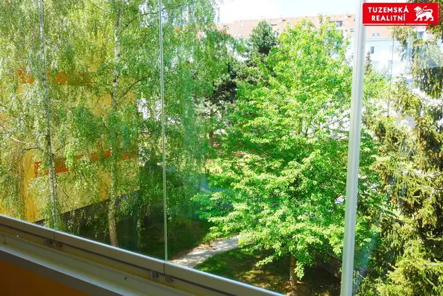 Pronájem pěkného bytu 1+1, 38m2, s velkou zasklenou lodžií v Brně Bystrci. — fotografie 3