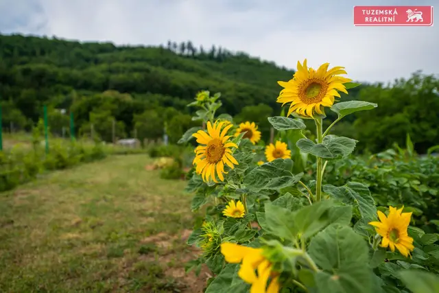 Jedinečný stavební pozemek o ploše 1002 m2 v Olomučanech u Blanska. — fotografie 5