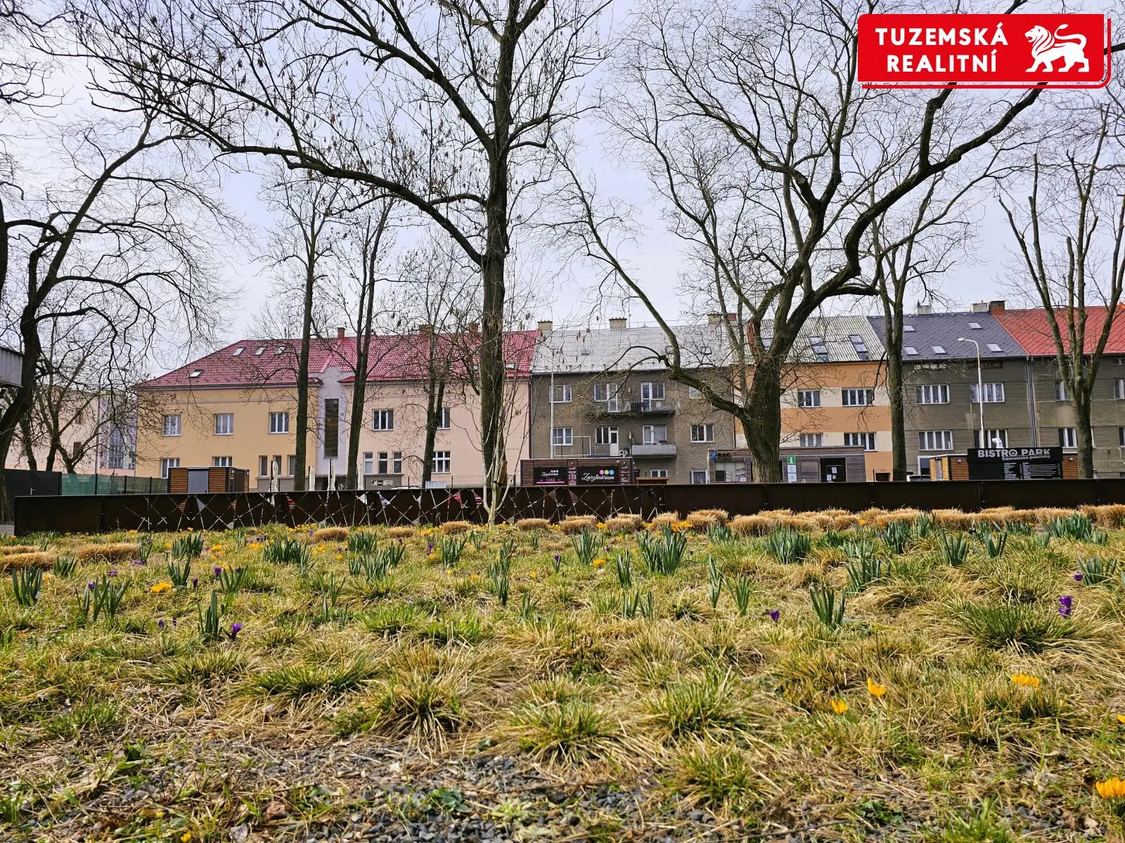 Vymazlený byt  3+1, 81m2, se 3 balkóny, s vlastním topením a výhledem na Flóru v Olomouci.