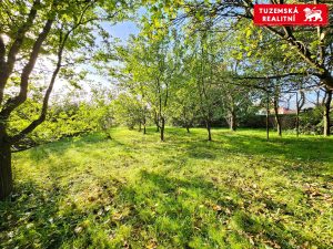 Bezbariérový rodinný dům 4+kk s velkou zahradou v Benátkách u Olomouce.
