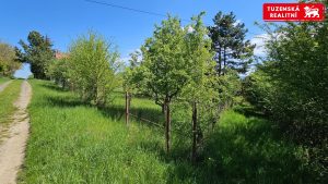Celozděná chata 2+kk, 61m2, se zahradou, Jevíčko.